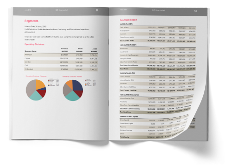 th-company-report-sample